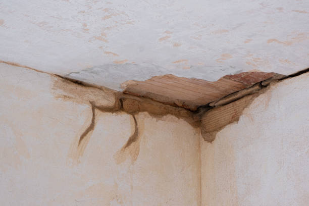 Best Emergency water damage restoration  in Charlotte, TN