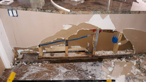 Best Basement water damage restoration  in Charlotte, TN