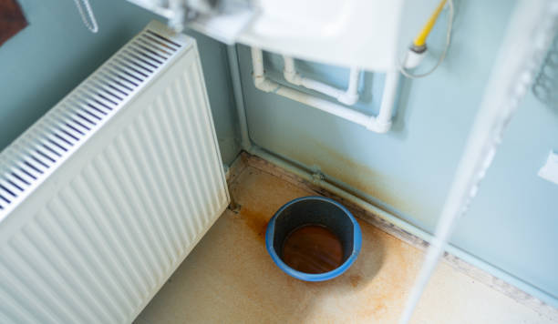 Best Water damage contractors near me  in Charlotte, TN