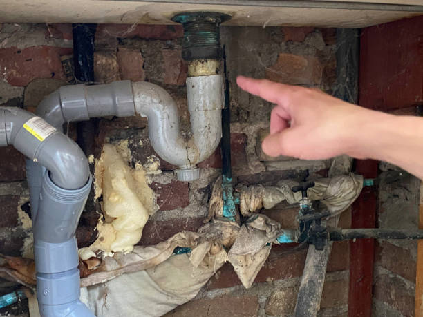 Best Local water damage restoration  in Charlotte, TN