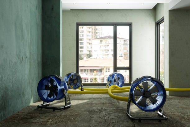 Best 24/7 water damage repair  in Charlotte, TN