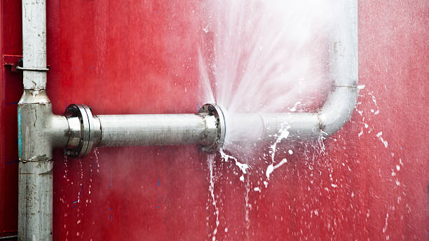 Best Sewage cleanup and water damage restoration  in Charlotte, TN